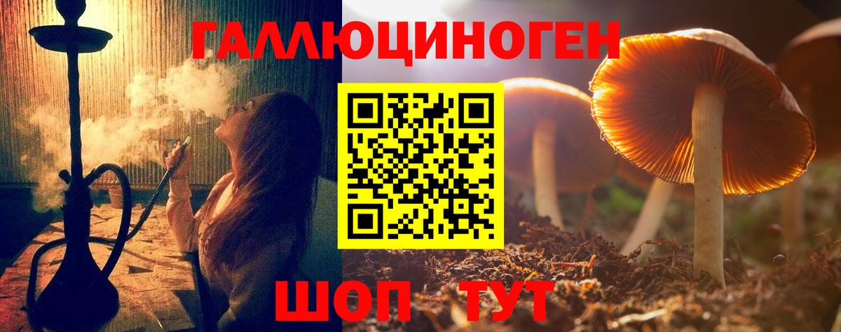 что такое   Вход с VPN  Луховицы  Псилоцибиновые грибы Psilocybine cubensis 